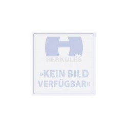 Zündkerze NGK BPR8HS